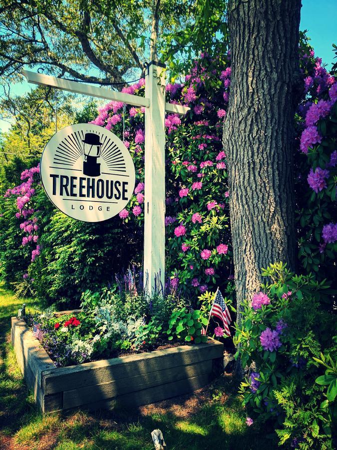 Treehouse Lodge Woods Hole Kültér fotó